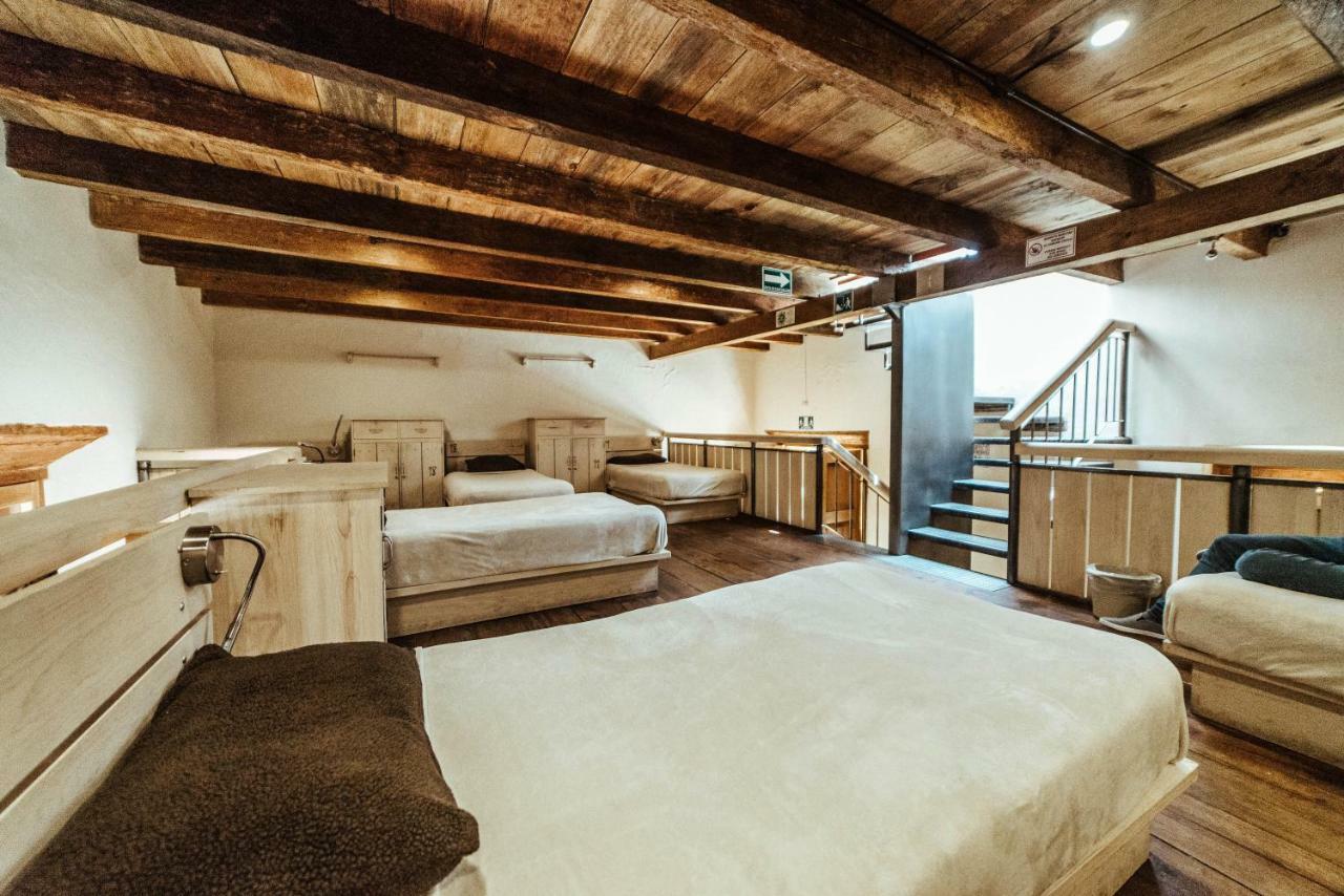 Snail Bed & Breakfast (Adults Only) San Cristobal de las Casas Ngoại thất bức ảnh