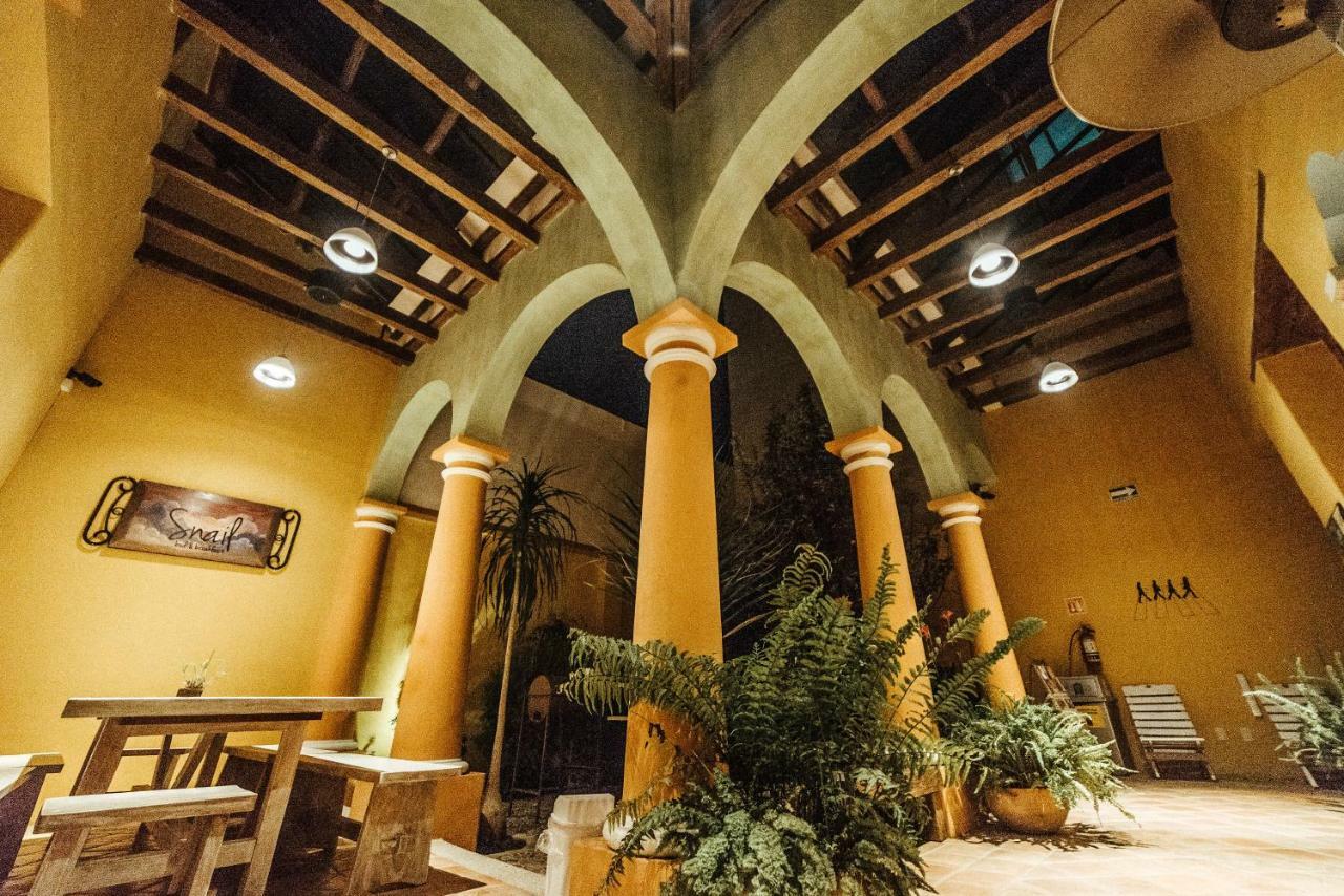 Snail Bed & Breakfast (Adults Only) San Cristobal de las Casas Ngoại thất bức ảnh