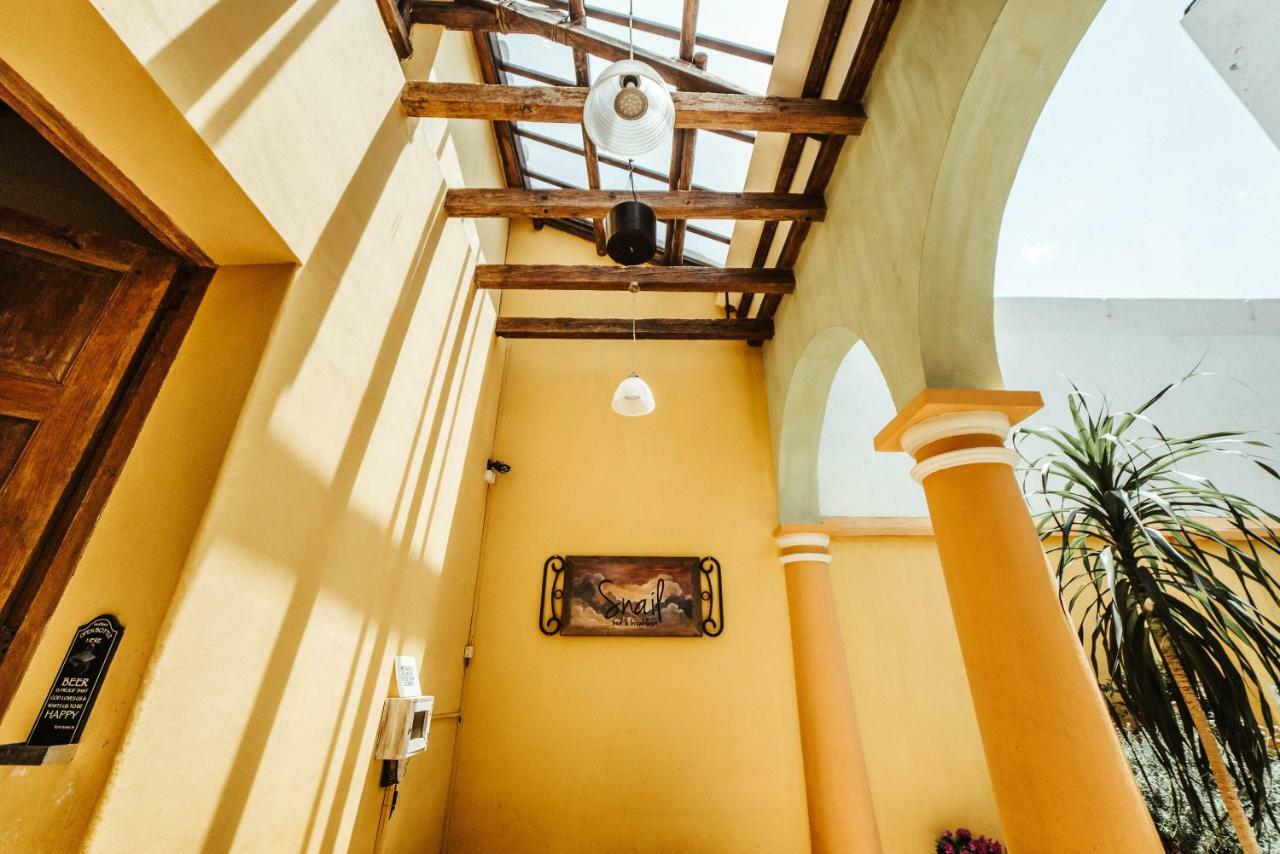 Snail Bed & Breakfast (Adults Only) San Cristobal de las Casas Ngoại thất bức ảnh
